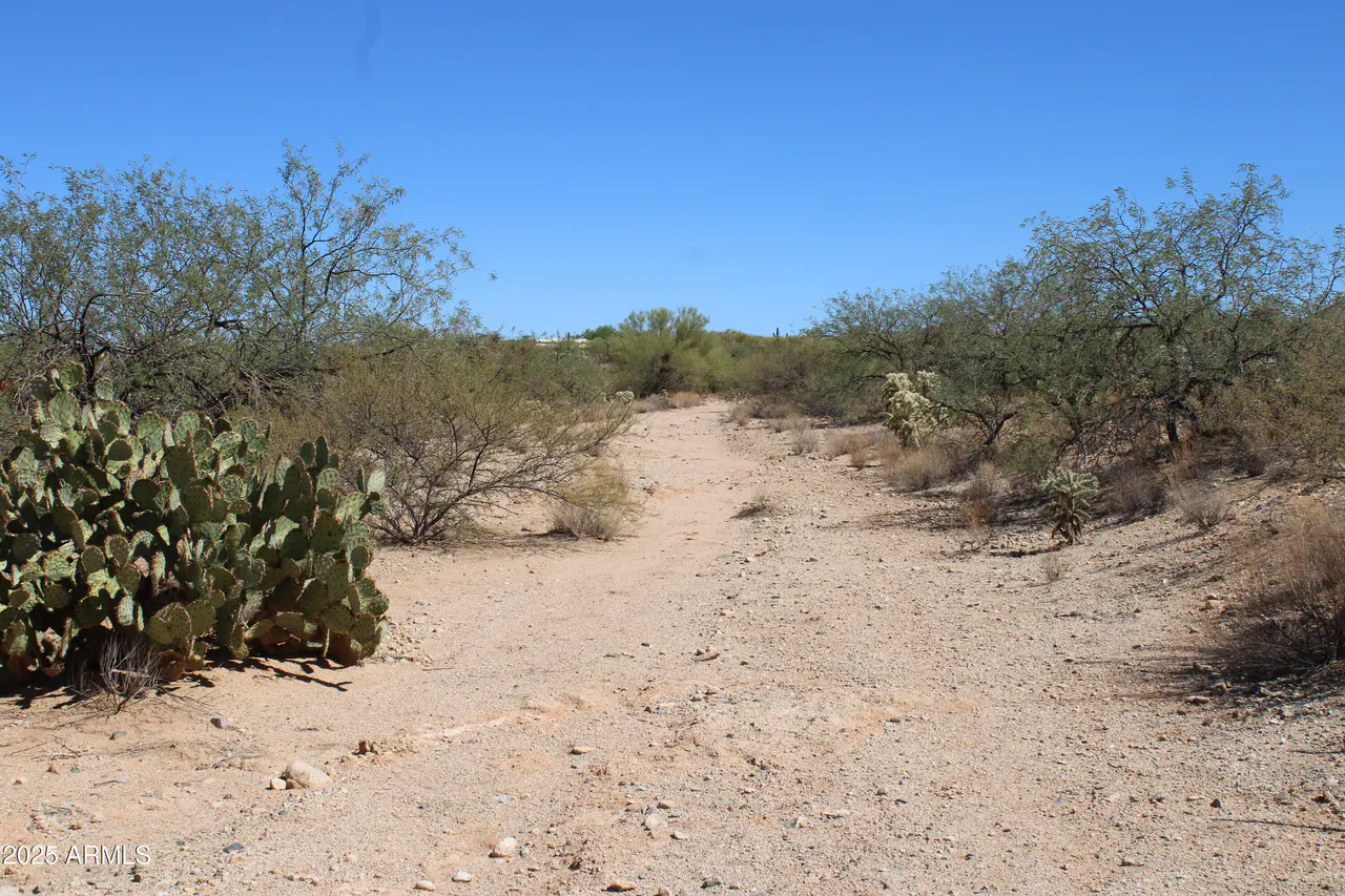 14223 S SHAW Road 00330, Tucson, AZ 85736
